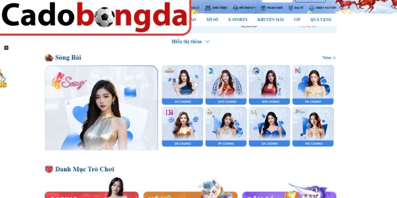 Những rủi ro tiềm ẩn mà người mới tham gia có thể gặp