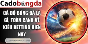 Cá Độ Bóng Đá Là Gì
