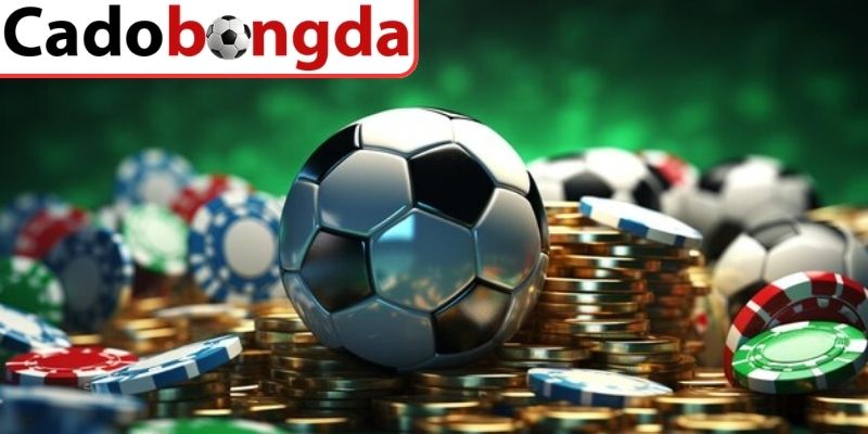 Tổng quan bản chất cá độ bóng đá là gì