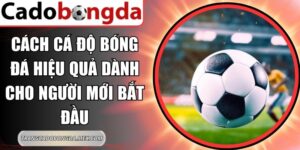 Cách Cá Độ Bóng Đá