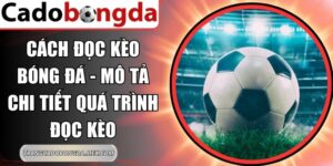 Cách Đọc Kèo Bóng Đá