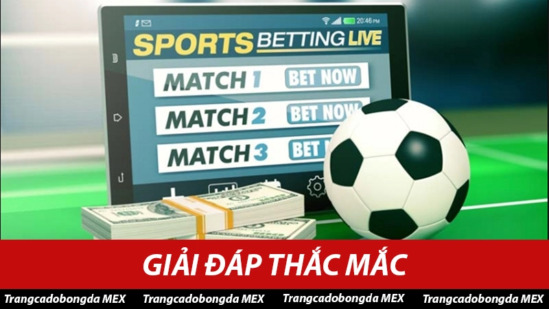 Tổng hợp các câu hỏi thường gặp