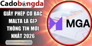 Giấy Phép Cờ Bạc Malta Là Gì