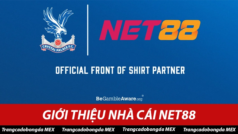 Giới thiệu trang cá độ Net88