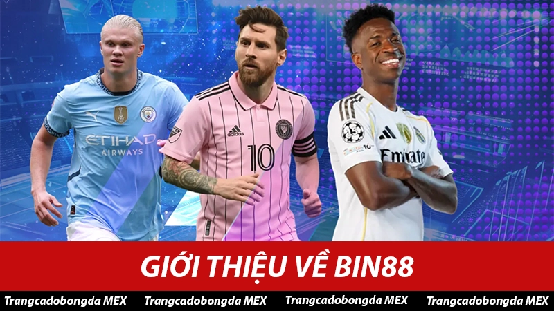 Giới thiệu về trang cá độ uy tín Bin88