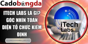 Itech Labs Là Gì