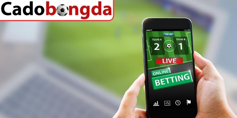 Chiến lược vào vốn ổn định, hiệu quả cho newbie 