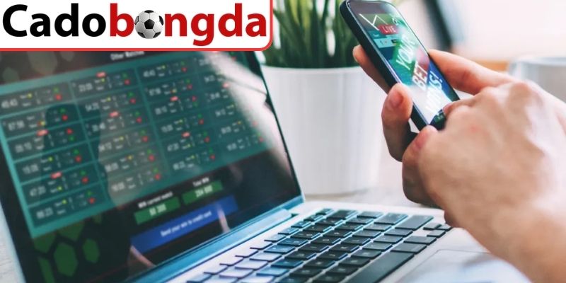 Dạng cược 1.75 trái 