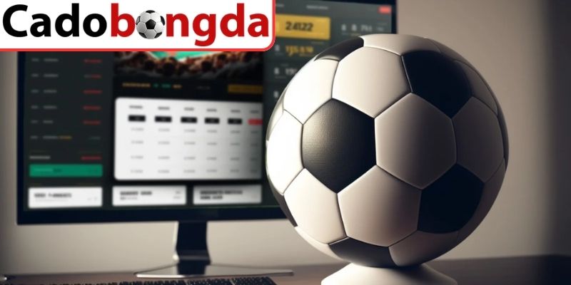 Những mẹo soi cược từ chuyên gia lâu năm 