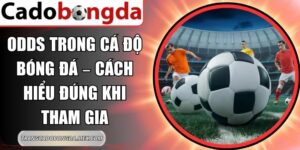 Odds Trong Cá Độ Bóng Đá