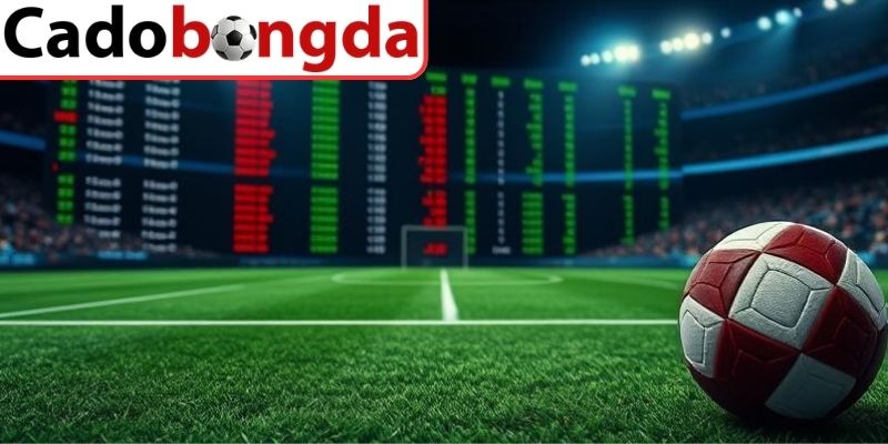 Các dạng odds phổ biến và cách tiếp cận phù hợp