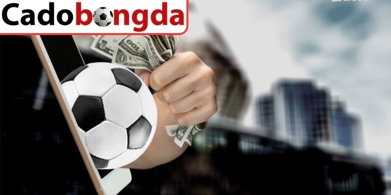 Cách phân tích odds để nâng cao hiệu quả đặt cược