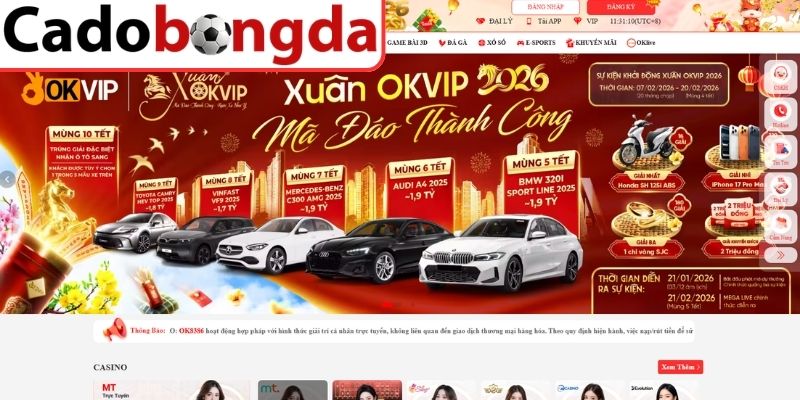 Cân nhắc điều gì khi tham gia? 
