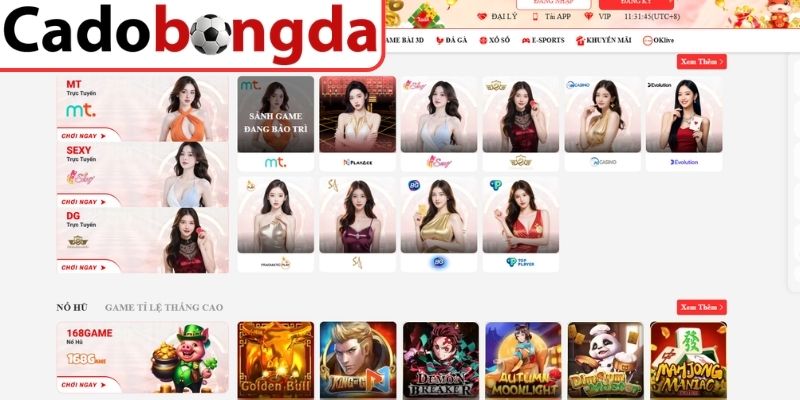 Thực trạng hoạt động cá độ bóng đá tại OK8386