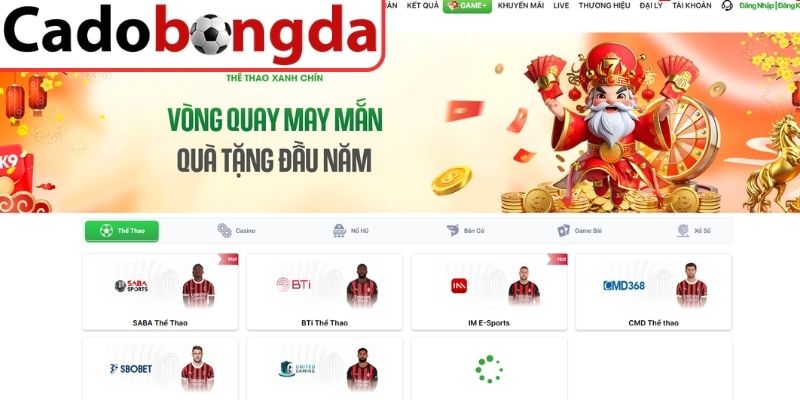 Phản hồi từ người tham gia 