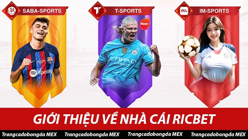 Sảnh cá độ thể thao Ricbet