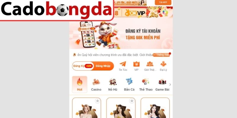 Quy định và điều khoản cá độ bóng đá tiềm ẩn rủi ro