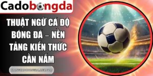 Thuật Ngữ Cá Độ Bóng Đá