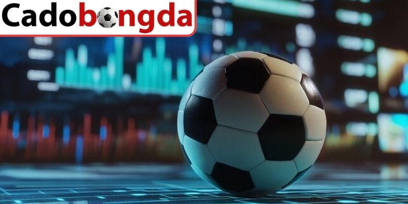 Kỹ năng dùng thuật ngữ trong cá cược một cách hợp lý