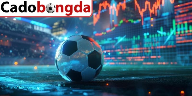 Cách tiếp cận và sử dụng tips hiệu quả theo từng bước