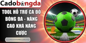 Tool Hỗ Trợ Cá Độ Bóng Đá