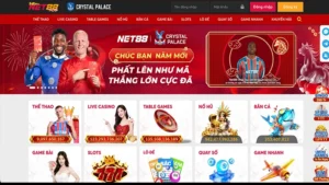 Trang cá độ bóng đá Net88