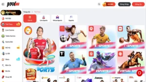 Giới thiệu về trang cá độ bóng đá Max88